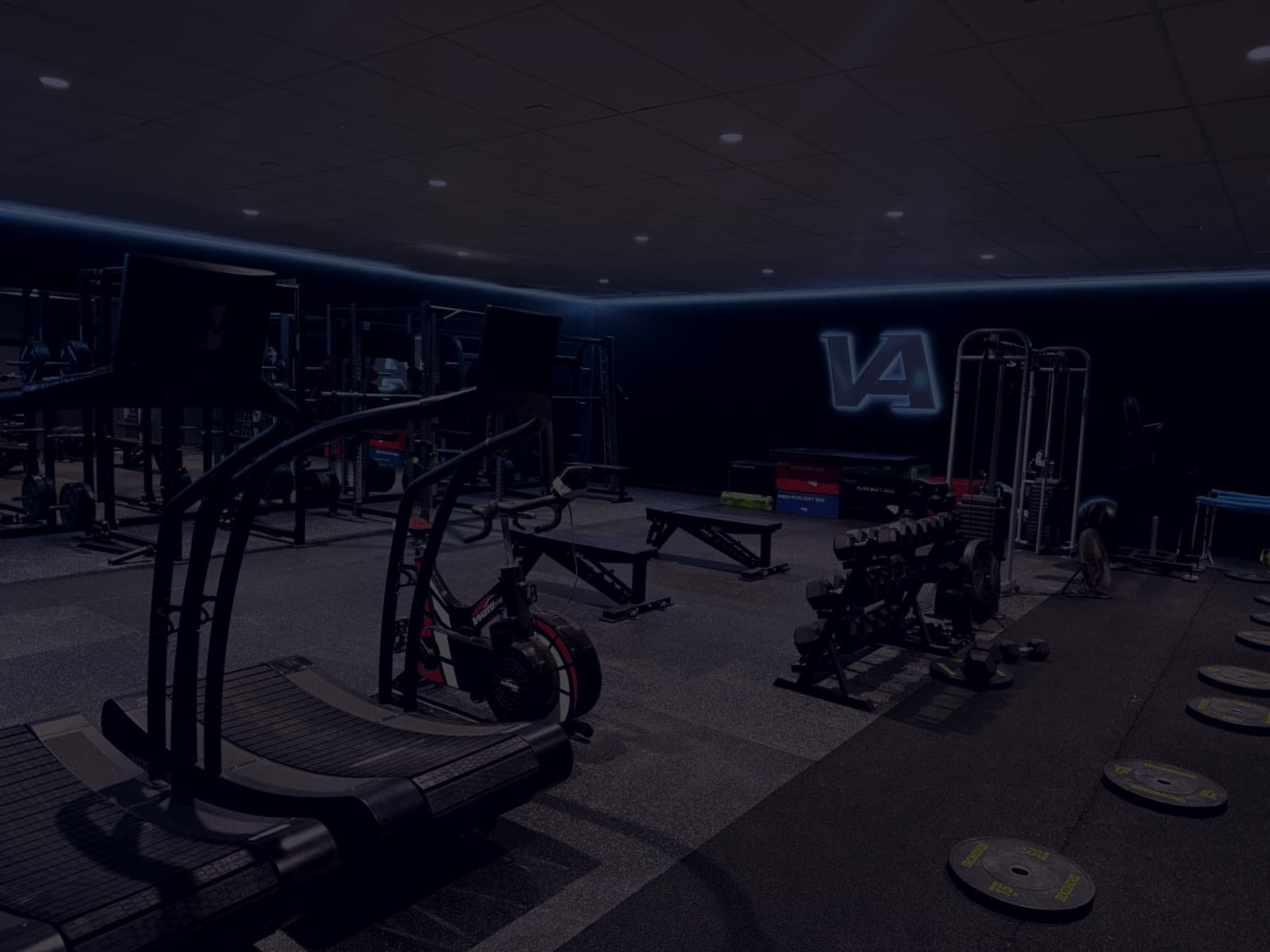 Viking Athletics physiotherapy clinic