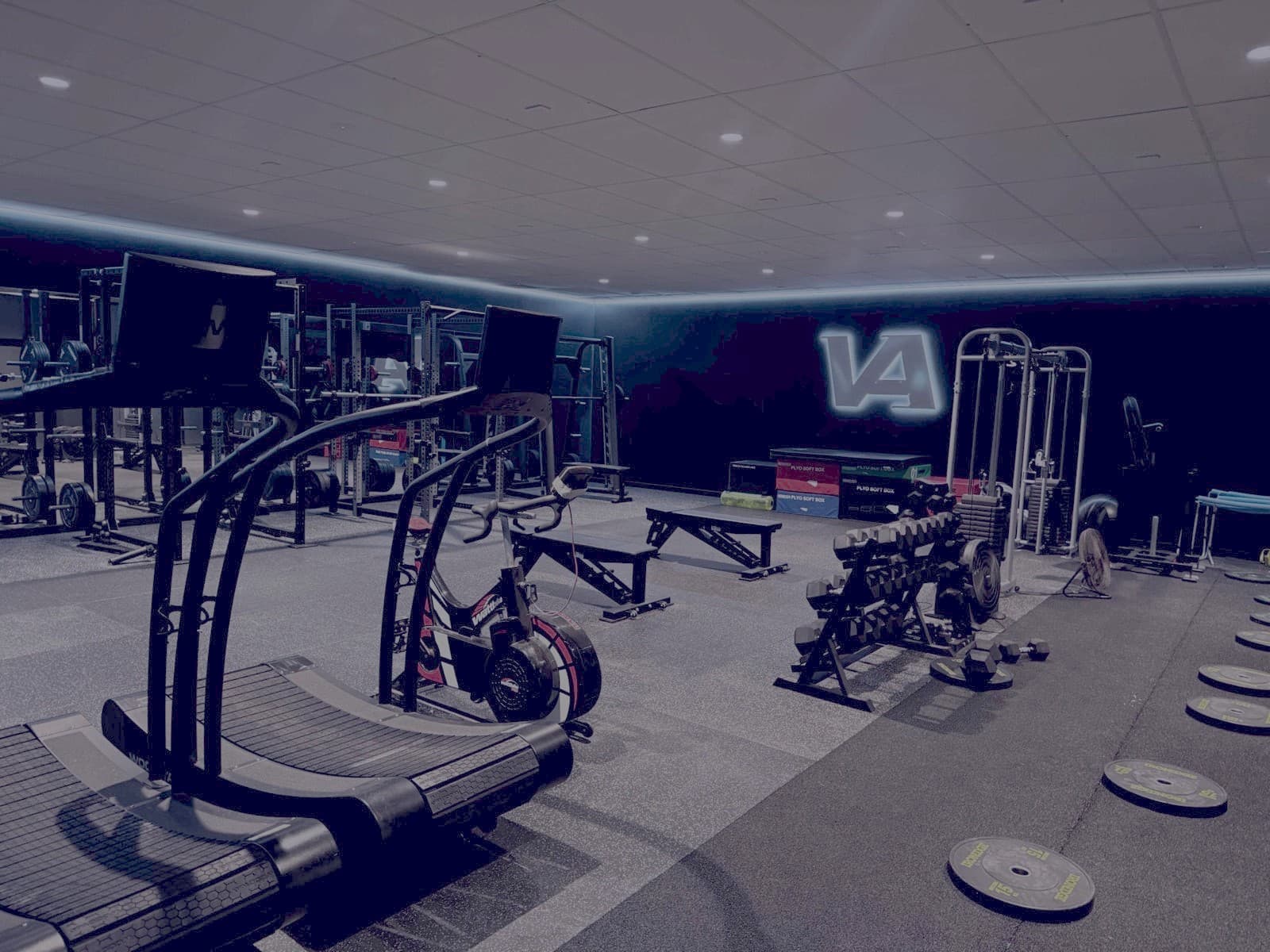 Viking Athletics physiotherapy clinic